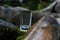 Clear small drinking glass in the middle of green nature landscape