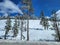 A clear snow bank of trees