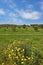 Clear spring day. The rural footpath