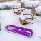Clear Square Purple sled wooden chairs and shrubs inside a snowy garden in Daybreak Utah