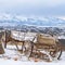 Clear Square Rustic wooden wagon beside a huge rock on top of a snowy hill in winter