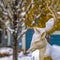 Clear Square Snow covered white reindeer Christmas decoration on a yard in Daybreak Utah