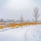 Clear Square Trail on the powdery snow along Oquirrh Lake with view of homes and vast sky