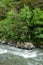 A clear stream flows through a canyon full of greenery