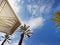 Clear sunny sky and beach umbrellas in Eilat resort; Israel