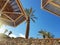 Clear sunny sky and beach umbrellas in Eilat resort; Israel