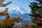 Clear view of Mount Fuji peak through red and orange autumn leaves, from Chureito Pagoda in Kawaguchiko in Japan.