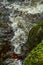 Clear Water Bubbling Down a Woodland Stream