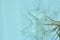 Clear water drops on a dandelion. Drops of water on a dandelion parachute on a beautiful blue background