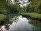 Clear water of the Frenchman`s Cove river