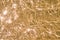 Clear water of golden color with a sandy bottom. Transparent sea water surface with sunny glares pattern and sandy bottom