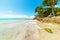 Clear water in La Datcha beach in Guadeloupe