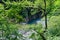 Clear water of a River and Forest