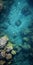 Clear Water With Rocks And Little Fish - High Resolution Birds-eye-view Poolcore Art