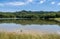 Clear water surface of the small reservoir