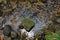 Clear water on upstream river, beauty in nature