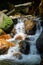 Clear water from a waterfall, running through many stones, through plants, creating many small waterfalls in its path, suggests th