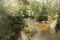 Clear waters of a Cornish stream showing the muddy brown stones underneath