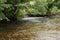 Clear waters of a Cornish stream showing the muddy brown stones underneath