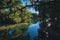 Clear waters of Gemini Springs, Central Florida