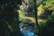 Clear waters of Gemini Springs, Central Florida