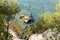 Clear waters and Mediterranean vegetation, Italy