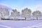 Clear weather, winter landscape, snow-covered forest, thick layer of snow - Art Collection
