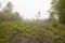 Clearcut forest area near Morey Pond in Wilmot, New Hampshire