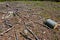 Clearcutting, clearfelling or clearcut logging in beech forest