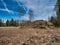 Cleared forest area next to the highway.