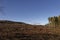 Cleared Ground from Tree Felling Operations at Tulloch Hill in the Angus Glens