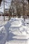 Cleared path in snowdrifts in the park