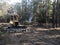 Clearing forest land with bulldozer