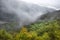 Clearing mist from Table Rock, Monongahela National Forest, West Virginia