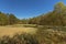 Clearing with swamp in a Norwegian spring forest