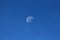 Clearly visible picture of Waning gibbous Moon phase on clear blue sky background taken early in the morning