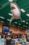 Clearwater Beach, Florida, USA 11/8/19 A fake great white shark hanging overhead