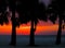 Clearwater Sunset