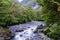 Cleddau River - Fiorland National Park
