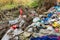 Cleen little creek contaminated with household waste, conceptual human negligence image.