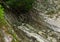 Cleft from gray uneven smooth stone covered with moss hanging tree