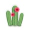 Cleistocactus on white vector