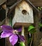 Clematis Blossom with Bird House