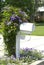 Clematis vine on a mailbox post