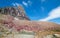 Clement Mountain as seen from Hidden Lake trail on Logan Pass in Glacier National Park during the 2017 fall fires in Montana USA