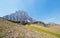 Clement Mountain as seen from Hidden Lake trail on Logan Pass in Glacier National Park during the 2017 fall fires in Montana USA