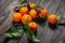 Clementine mandarines with leaves on dark wooden background