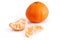 Clementine Orange - Tangerine
