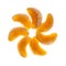 Clementine parts on white background