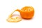 Clementine with segments on a white background